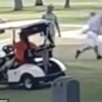 “You’re Too Slow”, Golfers Brawl on Golf Course