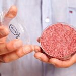 Italy Says “No” to Eating Lab Grown Meat