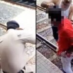 Passenger Fell On Train Track Before Train Runs Him Over